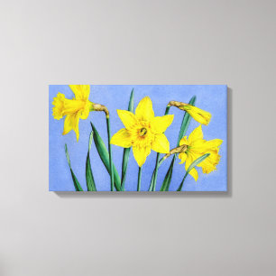 Em Tela Daffodilos amarelos na impressão de plástico azul 