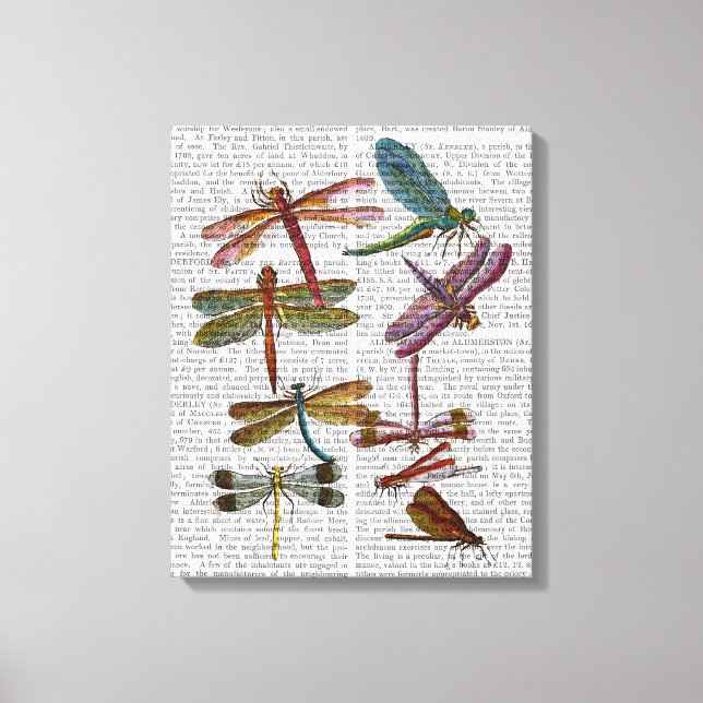 Em Tela Dragonfly Impressão 4 (Frente)