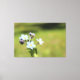 Em Tela Esqueça-me, Nó Azul E Impressão Verde