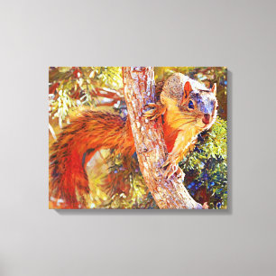 Em Tela Fox Squirrel Fecha Impressão de Arte Fotográfica
