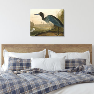Em Tela Garça Azul Grou Impressão Audubon Arte Costeira