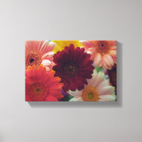 Gerbera Daisy Flower Photo Wall Art Impressão