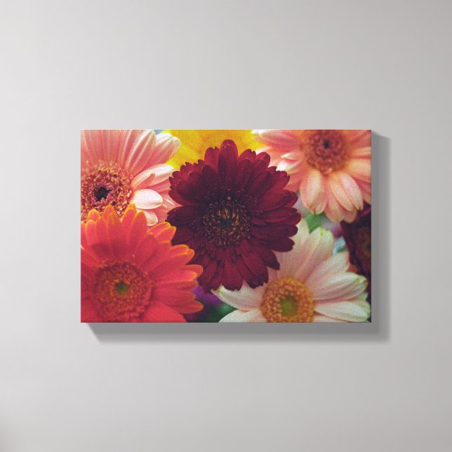 Em Tela Gerbera Daisy Flower Photo Wall Art Impressão (Frente)