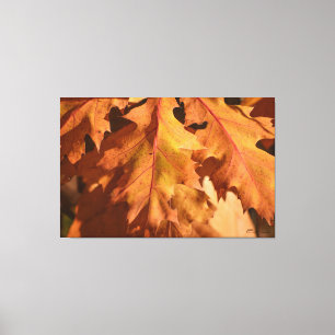 Em Tela Home Decor Autumal Deixa Impressão de Arte de Pare