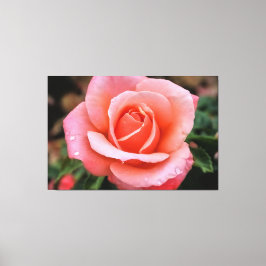 Em Tela Impressão Artística Botânica Rosa Romântica