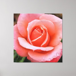 Em Tela Impressão Artística Botânica Rosa Romântica