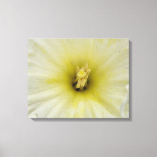 Em Tela Impressão bonito Daffodil