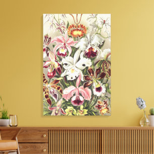 Em Tela Impressão Botânica de Orquídea Vintage de Ernst Ha