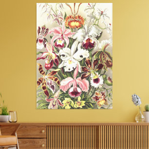 Em Tela Impressão Botânica de Orquídea Vintage de Ernst Ha