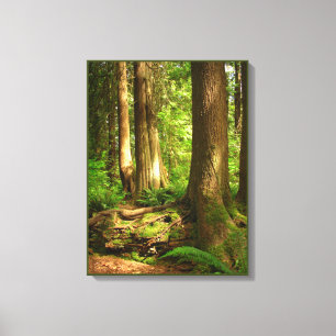 Em Tela Impressão canadense da arte da floresta da costa