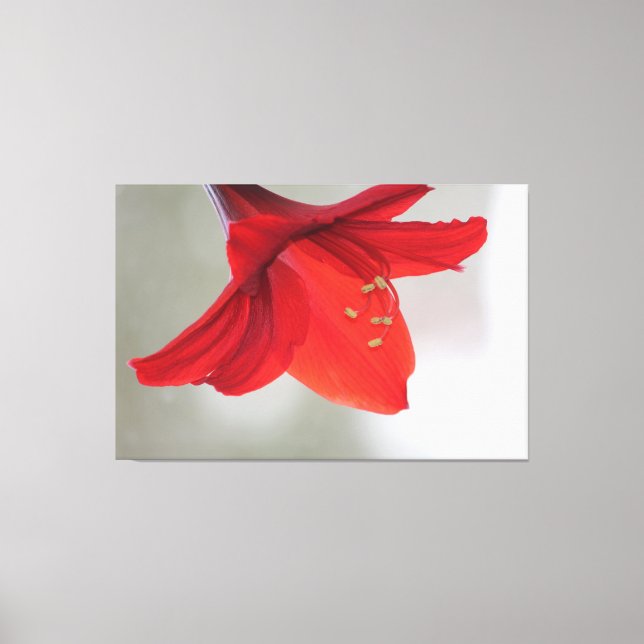 Em Tela Impressão Clássico Floral (Frente)