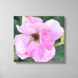 Em Tela impressão cor-de-rosa-cinzento