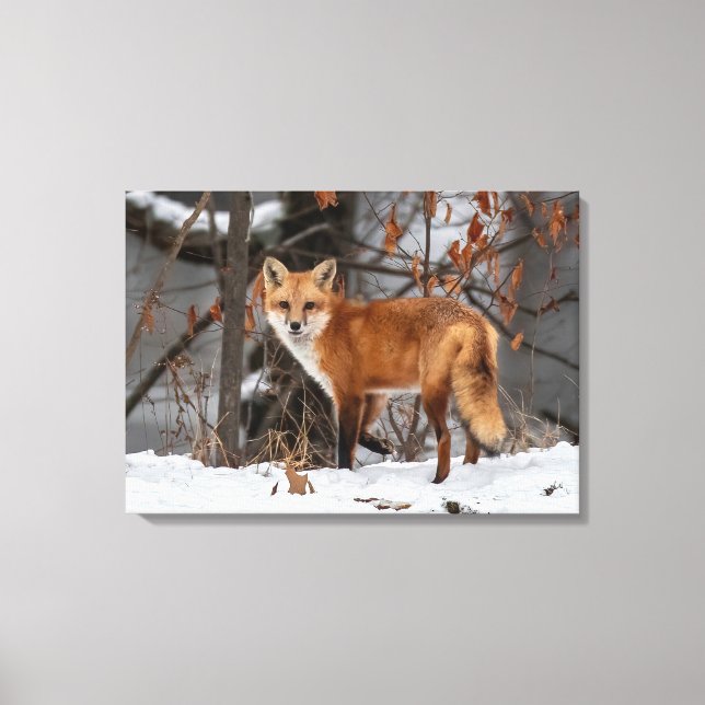 Em Tela Impressão da Fox de inverno (Frente)