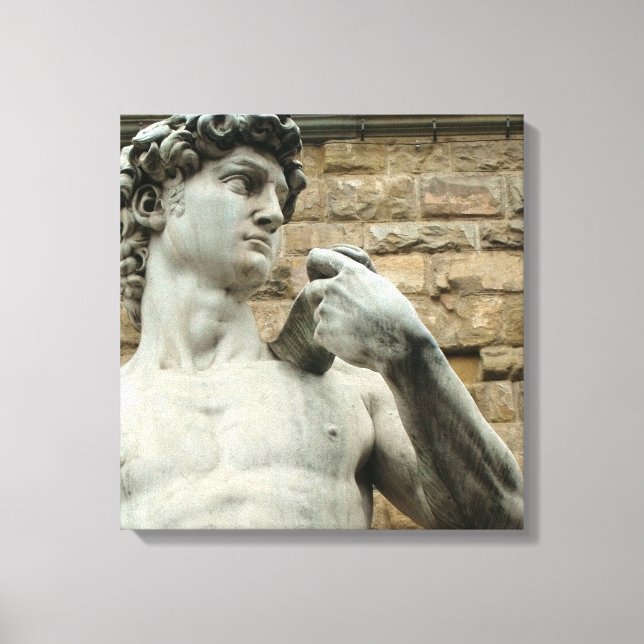 Em Tela Impressão David 1 de Michelangelo (Frente)