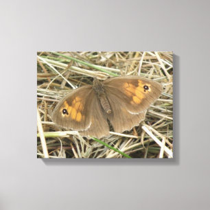 Em Tela Impressão de Borboleta Castanho-das-Meadelas