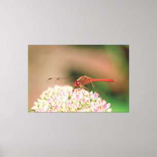 Em Tela Impressão de Dragonfly
