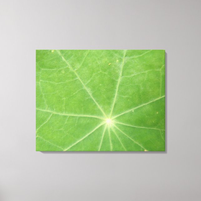 Em Tela Impressão de Folha de Nasturtium (Frente)