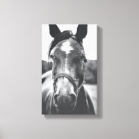 Impressão de Foto Retrato de Cavalo Negro e Branco