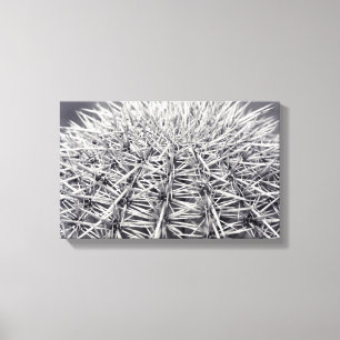 Em Tela Impressão de Fotografia do Deserto de Cactus Sono