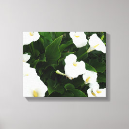 Em Tela Impressão de Fotografias de Flores Brancas