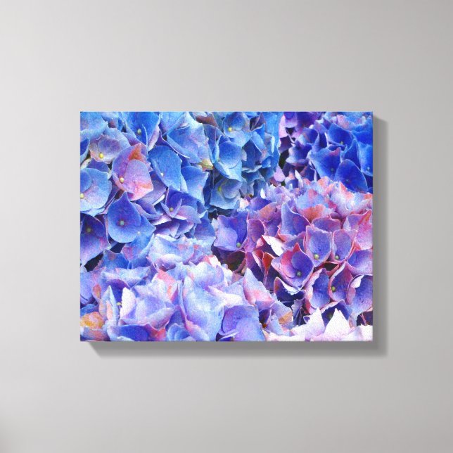 Em Tela Impressão de Fotografias de Hydrangeas Azuis (Frente)