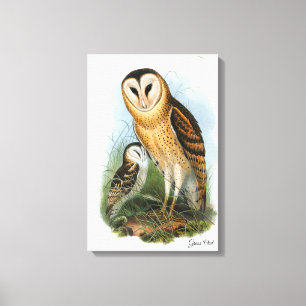 Em Tela Impressão de Grass Owl
