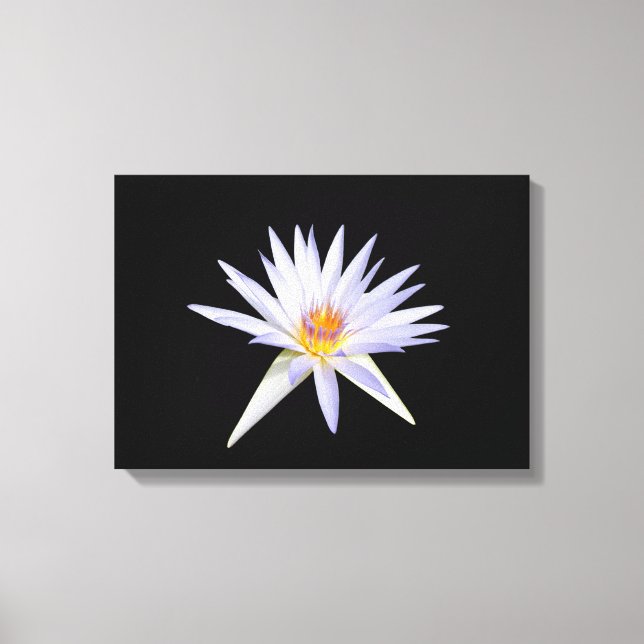 Em Tela Impressão de Lily Água (Frente)