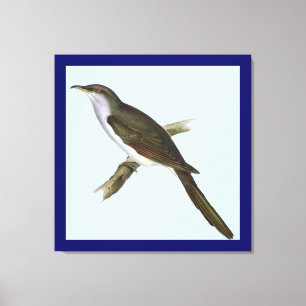Em Tela Impressão de Pássaro Cuckoo Americano