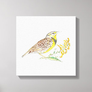 Em Tela Impressão de Telas Esticadas do Nebraska