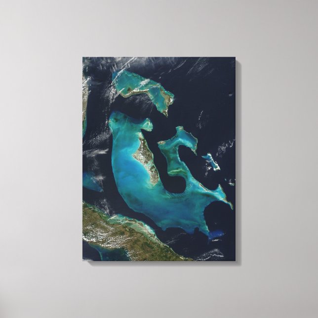 Em Tela Impressão de Telas Estreitas de Bahamas Turquesas  (Frente)