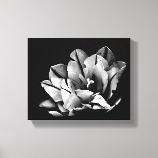 Em Tela Impressão de Tulipas do Texas