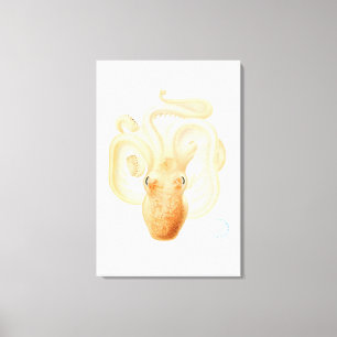 Em Tela impressão do polvo