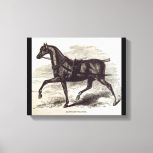 Em Tela impressão do século 19 Um cavalo de galeria inglês