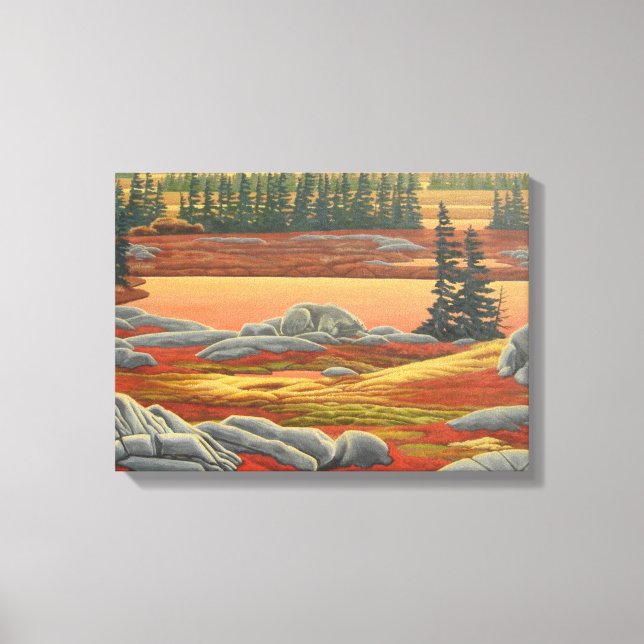 Em Tela Impressão do Urso de Pintura na Paisagem Canadense (Frente)