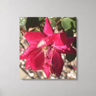 Em Tela impressão floral vermelha greyforaday