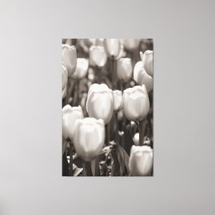 Em Tela Impressão fotográfica de tulipas vermelhas. Impres