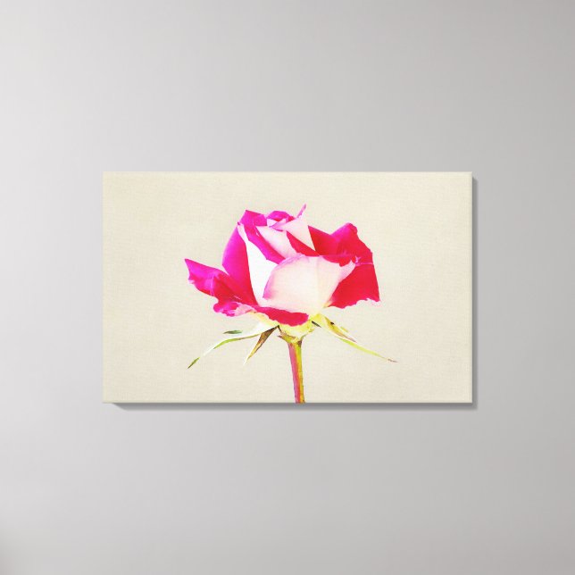 Em Tela Impressão Fotográfico Rosa solteiro (Frente)
