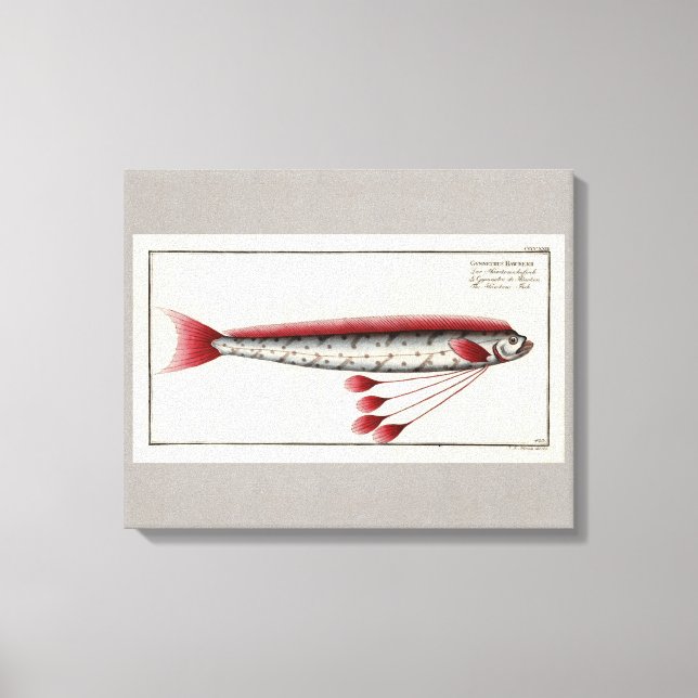 Em Tela Impressão gigante de Oarfish (Frente)