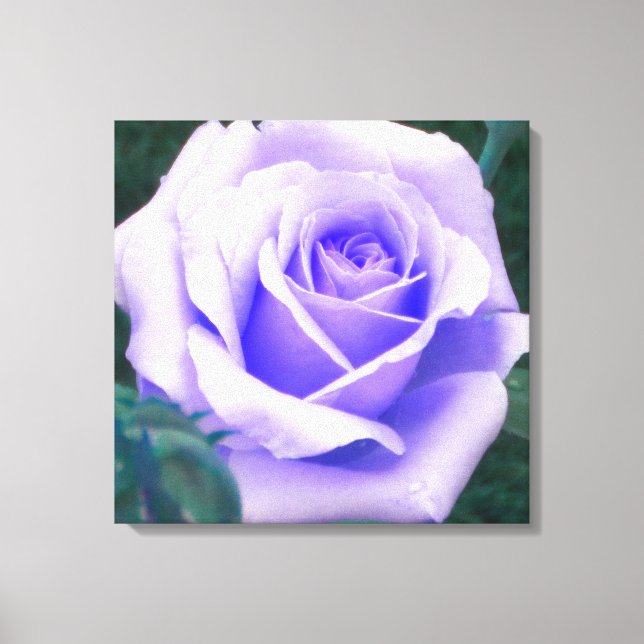 Em Tela Impressão Rosa púrpura pálido (Frente)