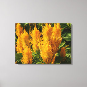 Em Tela Impressão Solteiro de flores amarelas