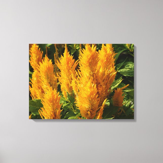 Em Tela Impressão Solteiro de flores amarelas (Frente)