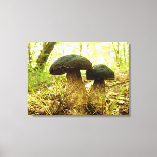 Em Tela Impressão Xerocomus pruinatus Mushroom
