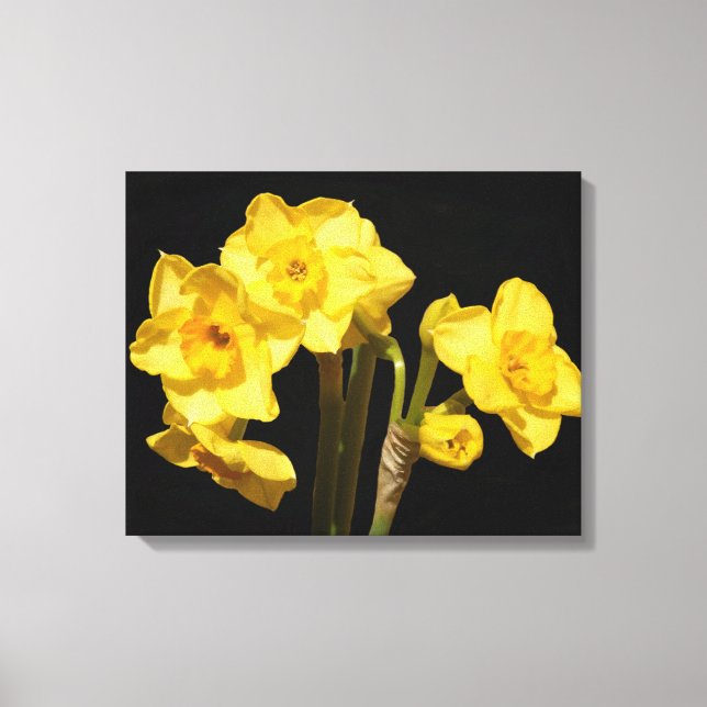 Em Tela Jonquil Flowers - Impressão (Frente)