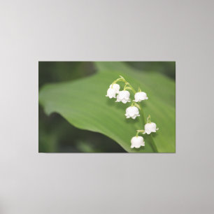 Em Tela Lily Of The Valley Impressão