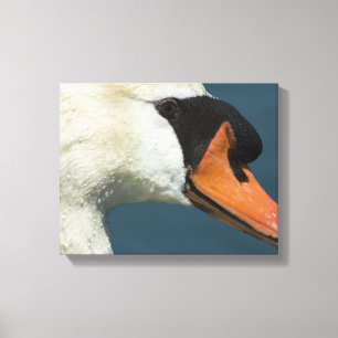 Em Tela Mute Swan - Um Impressão de Belas Artes