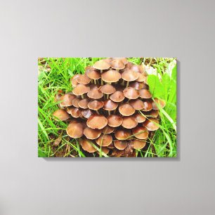 Em Tela Mycena inclinata Mushroom Canva Impressão