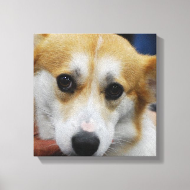 Em Tela Pembroke Welsh Corgi - Impressão (Frente)