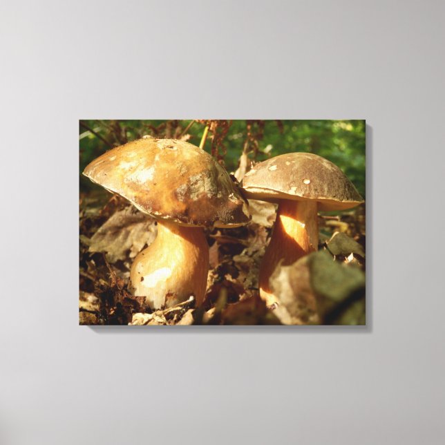 Em Tela Penny Bun Mushroom - Impressão (Frente)