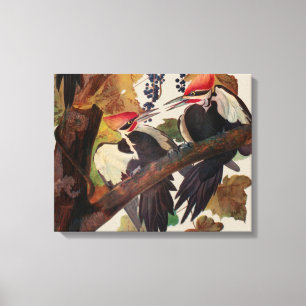 Em Tela Pica-Pau-Grande de John James Audubon Impressão de
