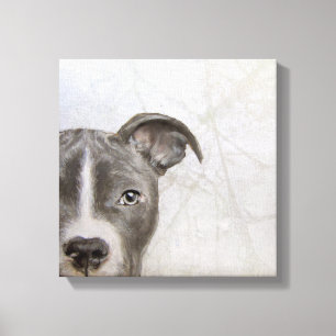 Em Tela pintura original do pitbull pelo impressão de